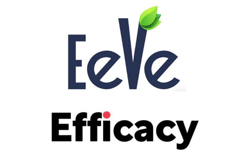 Efficacy Worldwide to handle marketing communication for EeVe India